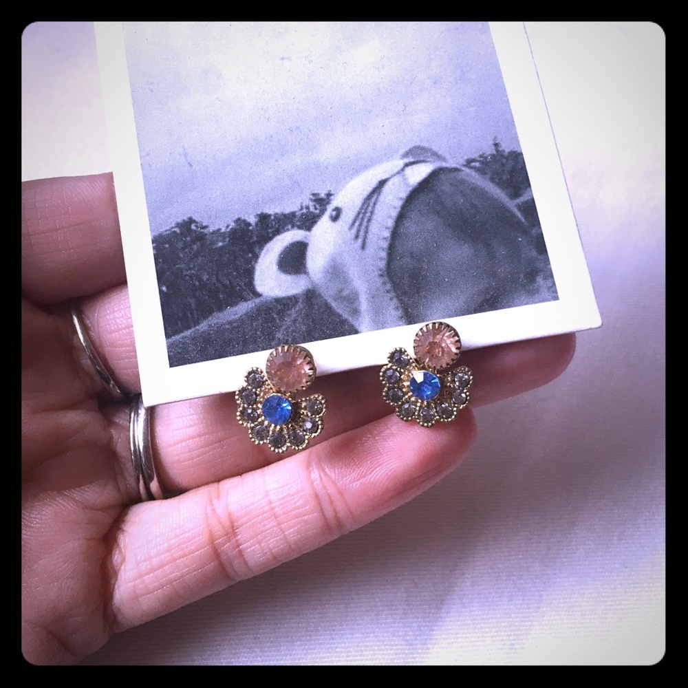 Anthro earrings